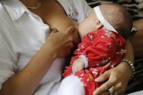 Saúde Campanha Mundial de Amamentação promove a preservação da vida