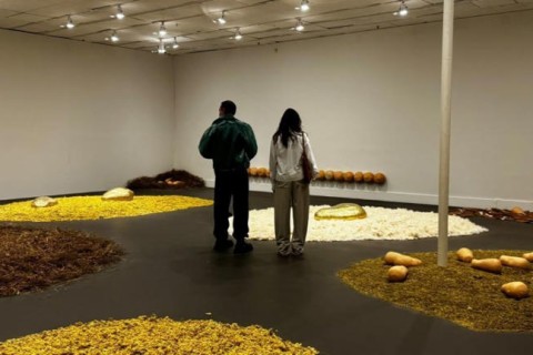 Nova mostra no Itaú Cultural dedica três andares à mineira Solange Pessoa