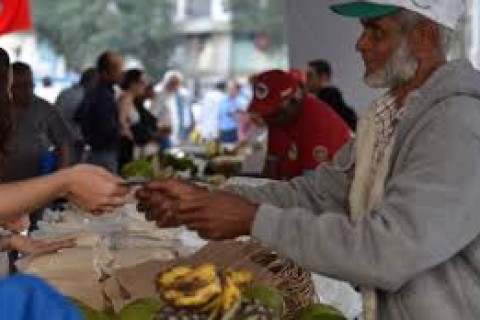 Economia: Programa Desenrola Rural entra em vigor nesta segunda-feira