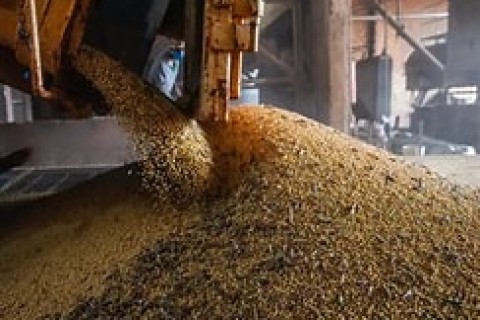 Economia brasileira cresce 1,1% no 1º trimestre